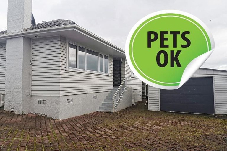 Photo of property in 1/1 Anne Road, Hillcrest, Auckland, 0627