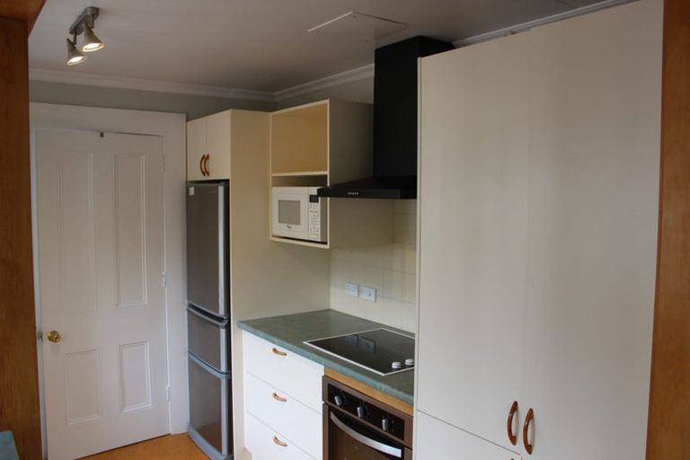 Photo of property in 14 Mcmillan Street, Maori Hill, Dunedin, 9010