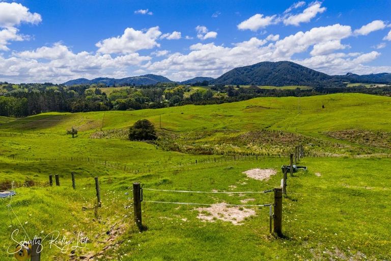 Photo of property in 117 Kaiwaka-mangawhai Road, Kaiwaka, Wellsford, 0975