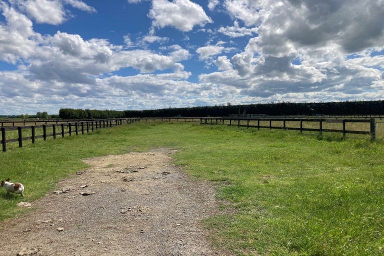 Photo of property in 72 Waverley Road, Meeanee, Napier, 4183