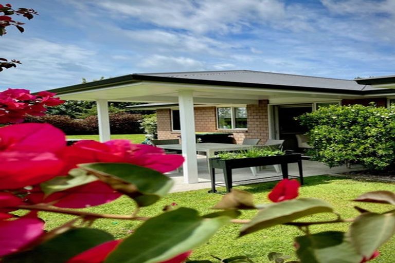 Photo of property in 35 Teal Place, Pyes Pa, Tauranga, 3112
