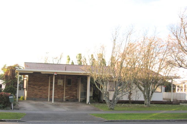 Photo of property in 133a Clarkin Road, Fairfield, Hamilton, 3214