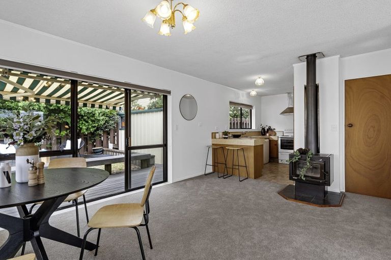 Photo of property in 23a Kulim Avenue, Otumoetai, Tauranga, 3110