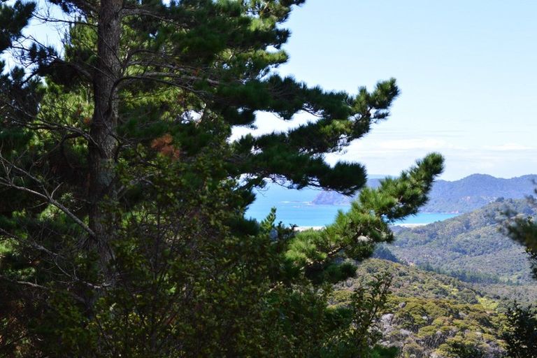 Photo of property in 478 Port Charles Road, Waikawau, Coromandel, 3584