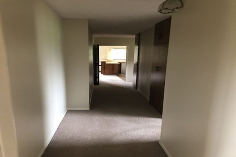 Photo of property in 432 Island Road, View Hill, Oxford, 7495