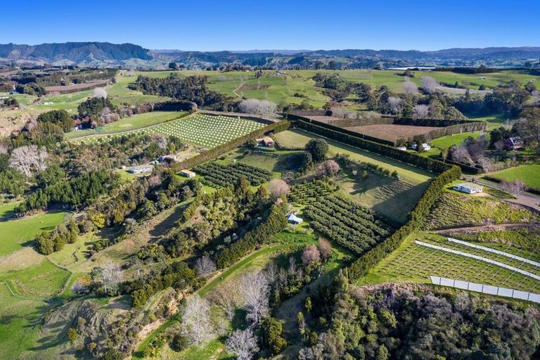 Photo of property in 333 Paerata Ridge Road, Waiotahe, Opotiki, 3198