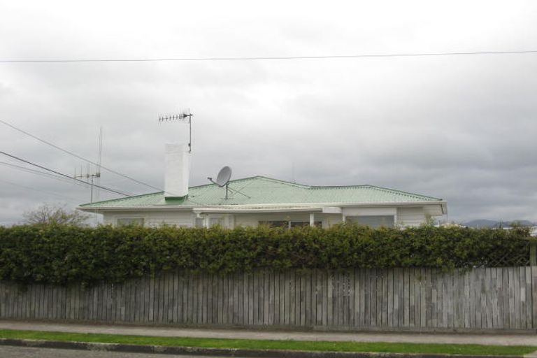 Photo of property in 46 Bristol Street, Levin, 5510