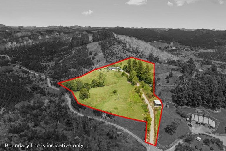 Photo of property in 451 Ararua Road, Waiotira, 0193