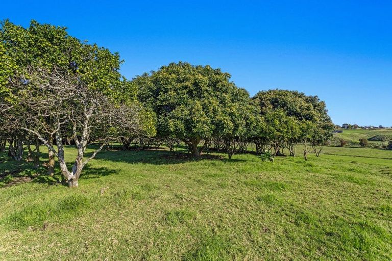 Photo of property in 62 Grant Road, Opotiki, 3122