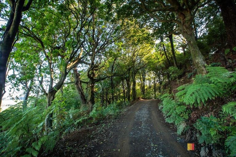 Photo of property in 166b Heard Road, Waihi, 3681