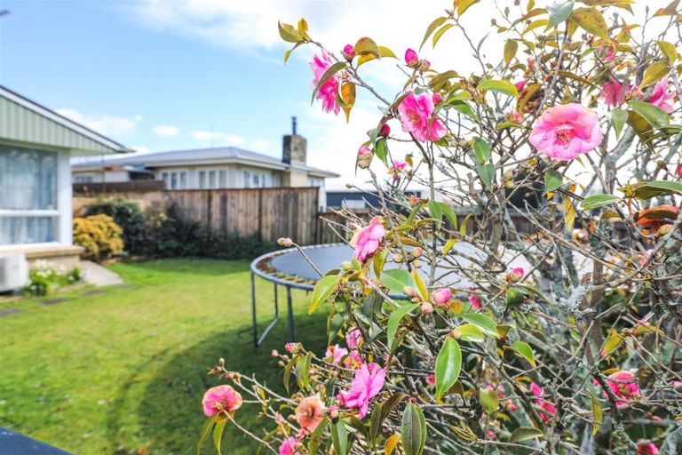 Photo of property in 128 Great South Road, Huntly, 3700