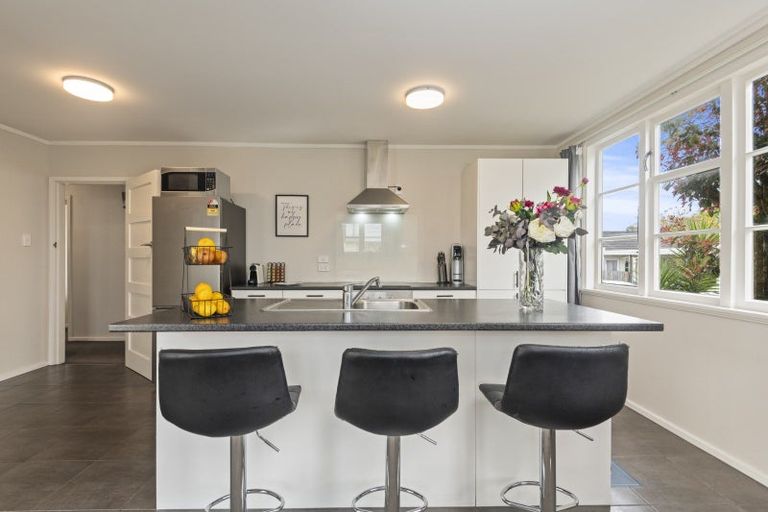 Photo of property in 197 Vogel Street, Roslyn, Palmerston North, 4414