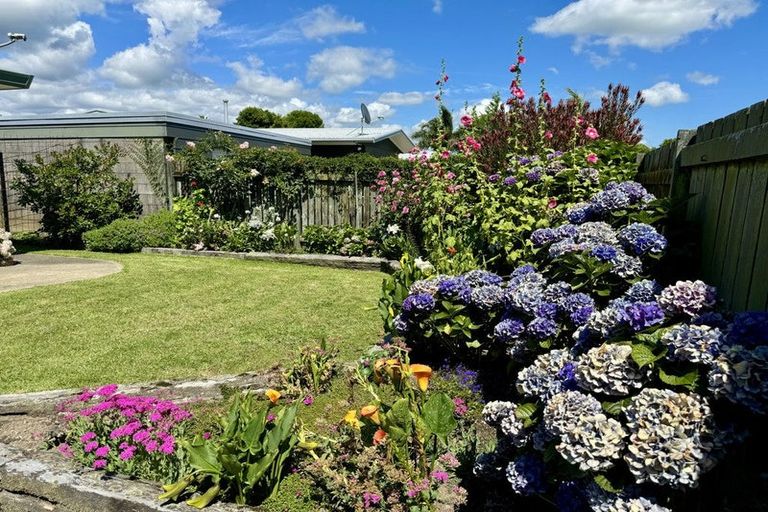 Photo of property in 244b King Street, Whakatane, 3120