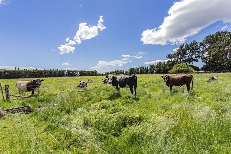 Photo of property in 193 Bentleys Road, Hawarden, 7385