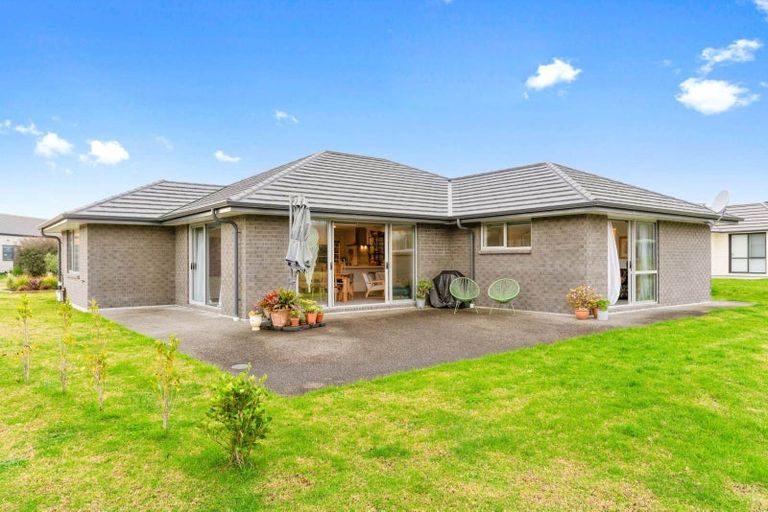 Photo of property in 20 Park Rise, Mangawhai Heads, Mangawhai, 0505