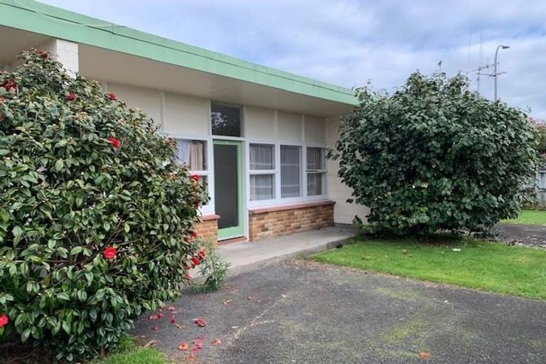 Photo of property in 15b Edgecumbe Street, Whitiora, Hamilton, 3200