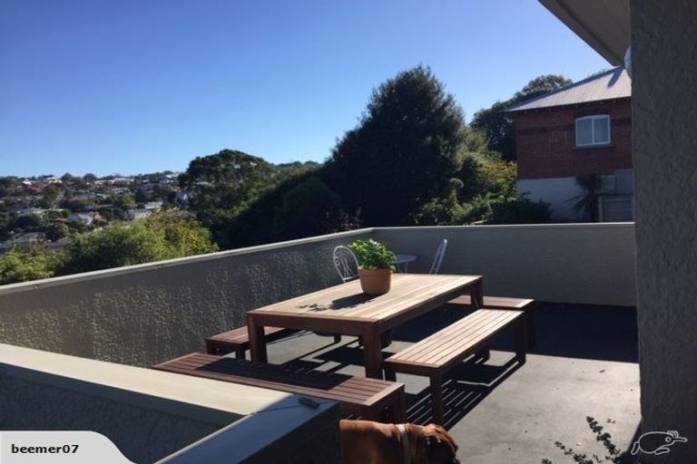 Photo of property in 26 Mcgeorge Avenue, Mornington, Dunedin, 9011