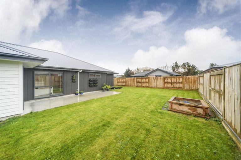 Photo of property in 24 Monarch Drive, Ashhurst, 4810