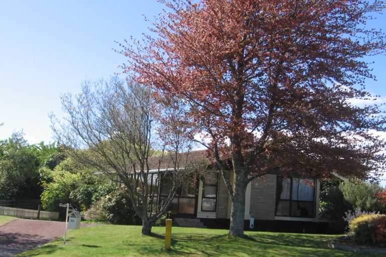Photo of property in 58 Henry Hill Road, Taupo, 3330
