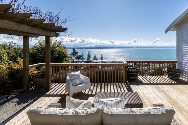 Photo of property in 14 Bay View Road, Bluff Hill, Napier, 4110