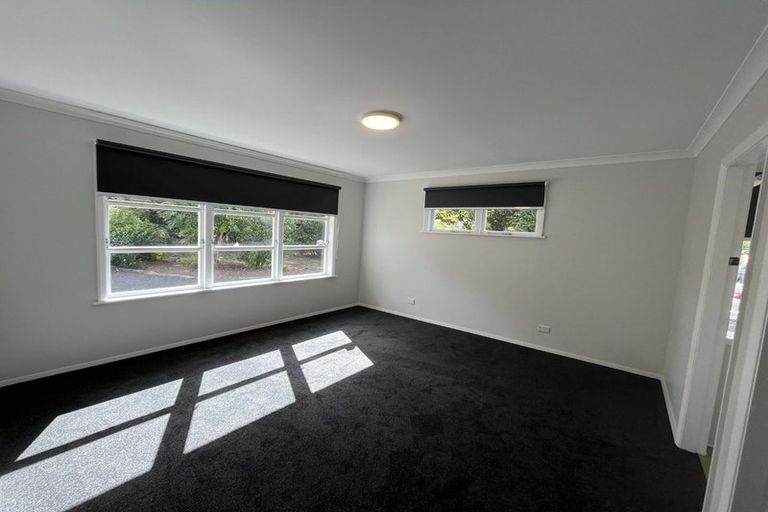 Photo of property in 141 Kawiu Road, Levin, 5510