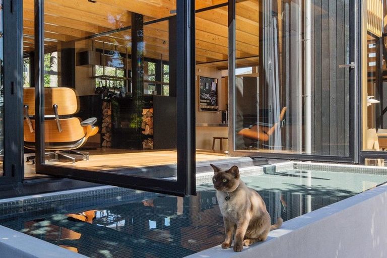 Photo of property in 22 Ewen Street, Takapuna, Auckland, 0622