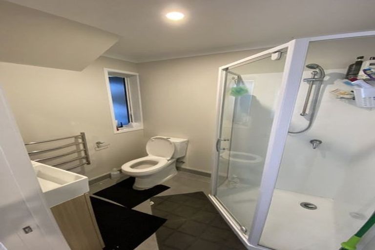Photo of property in 45 Arrowsmith Drive, Flat Bush, Auckland, 2019