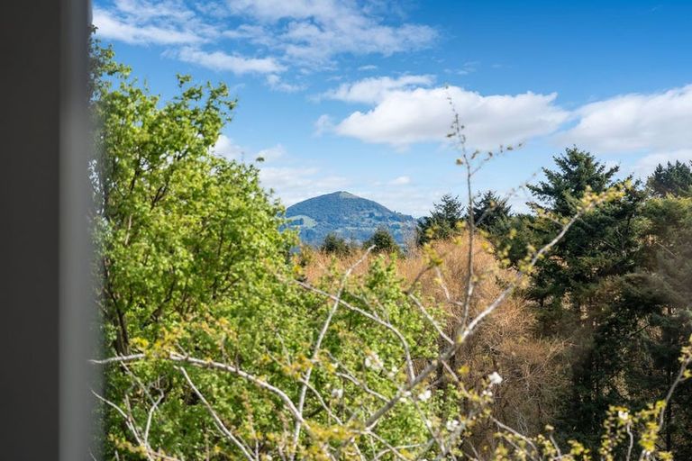 Photo of property in 30 Panmure Avenue, Calton Hill, Dunedin, 9012