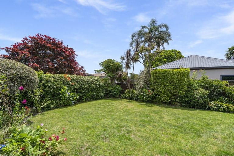 Photo of property in 42 Mahonia Place, Pyes Pa, Tauranga, 3112