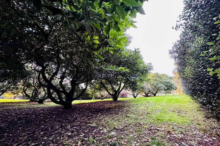 Photo of property in 499 Wainui Road South, Whakamarama, Tauranga, 3180