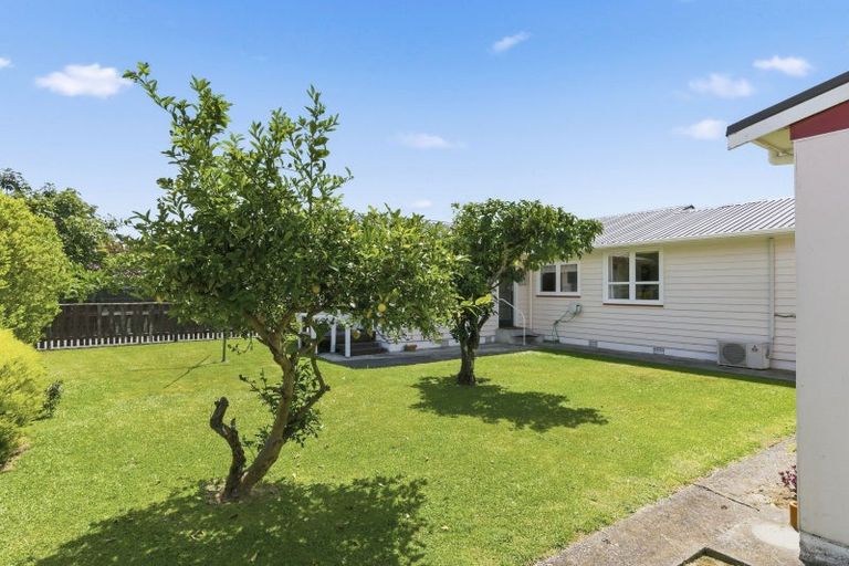 Photo of property in 50 Kennedy Drive, Levin, 5510