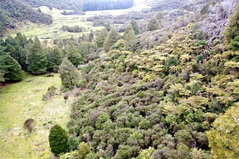 Photo of property in 1677 Takaputahi Road, Toatoa, Opotiki, 3197