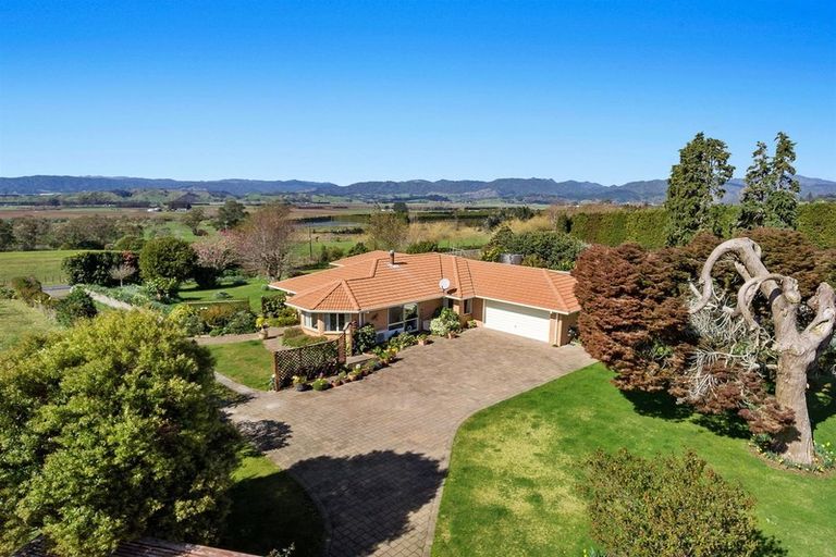 Photo of property in 304 Woodlands Road, Otara, Opotiki, 3198