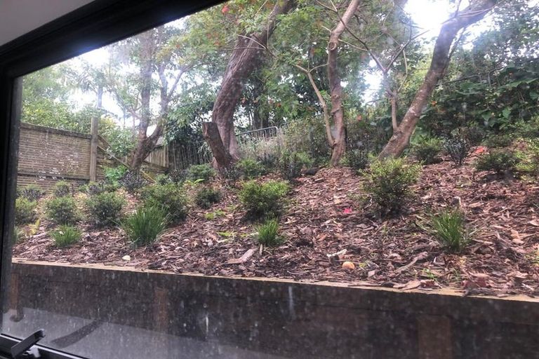 Photo of property in 43a Forrest Hill Road, Milford, Auckland, 0620