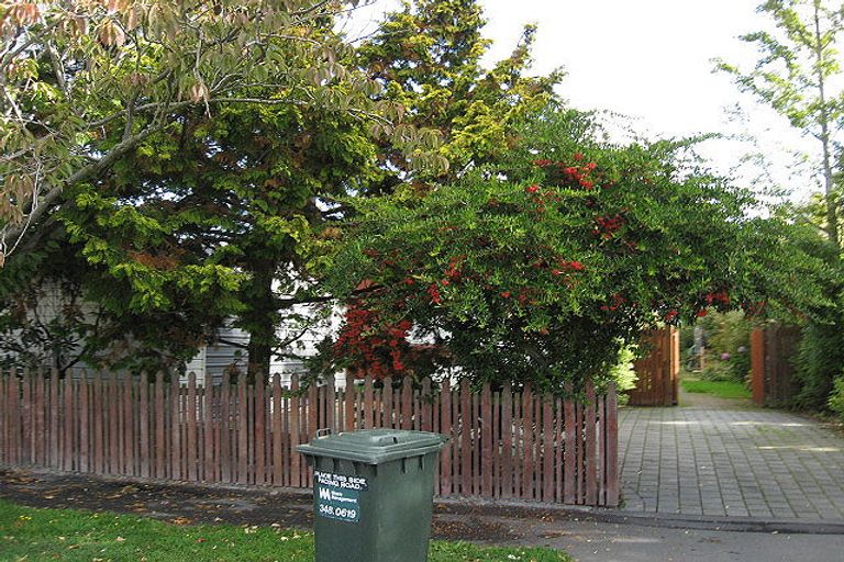 Photo of property in 31 Longmuir Street, Ilam, Christchurch, 8041