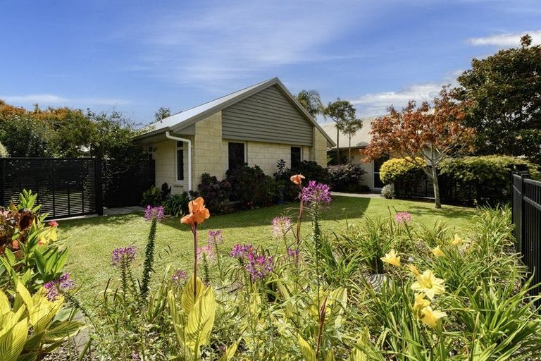Photo of property in 60 Chater Avenue, Bethlehem, Tauranga, 3110