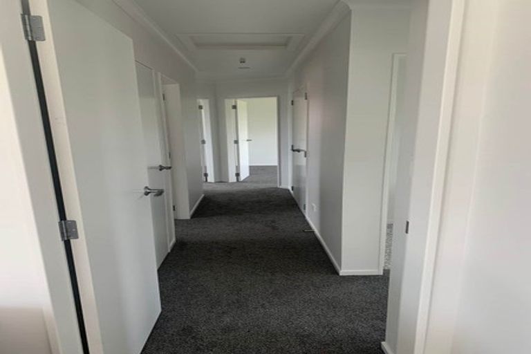 Photo of property in 9 Northcoast Place, Mangawhai Heads, Mangawhai, 0505