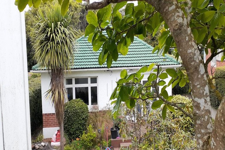 Photo of property in 8 Kilgour Street, Roslyn, Dunedin, 9010