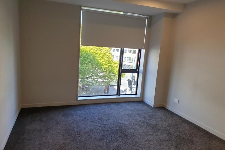 Photo of property in Vsp South, 207/168 Victoria Street, Te Aro, Wellington, 6011