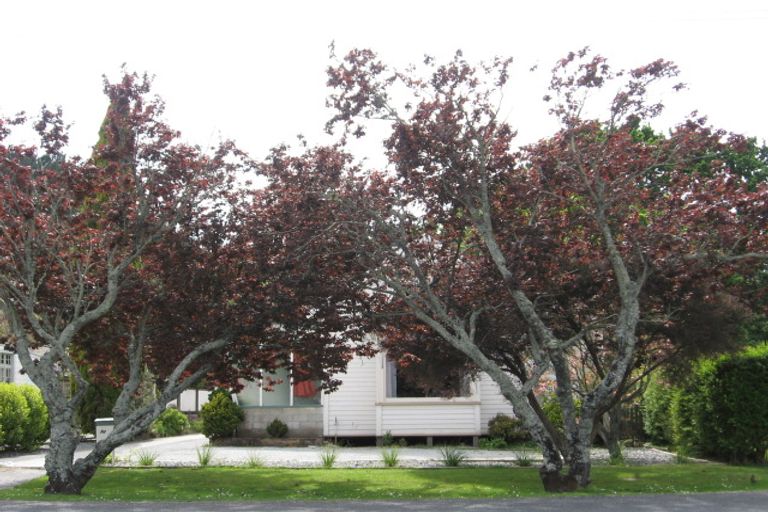 Photo of property in 101 Russell Street, Whataupoko, Gisborne, 4010