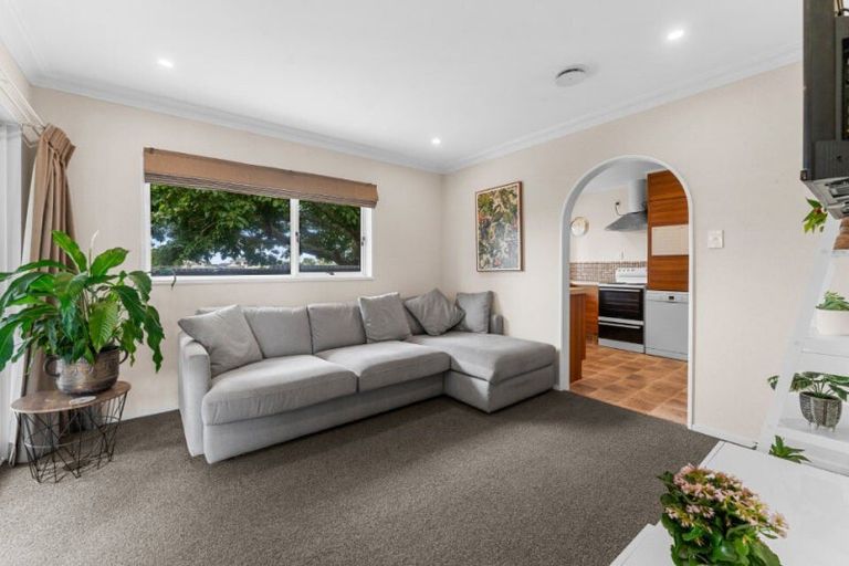 Photo of property in 50a Andrew Place, Otumoetai, Tauranga, 3110