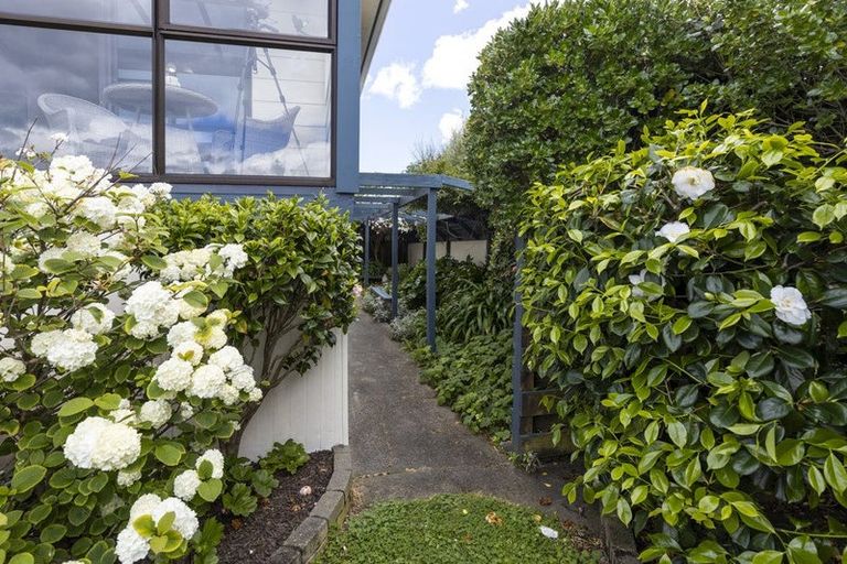 Photo of property in 150 Rarangi Beach Road, Rarangi, Blenheim, 7273