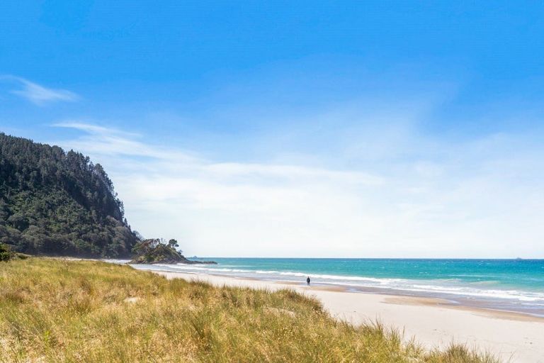Photo of property in 762 Ohui Road, Opoutere, Whangamata, 3691
