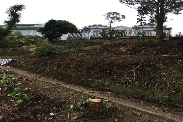 Photo of property in 54 Raroa Road, Kelburn, Wellington, 6012