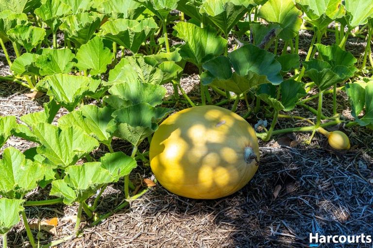 Photo of property in 13 Moreland Place, Mapua, 7005