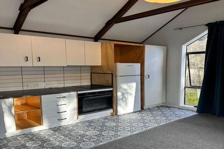 Photo of property in 137 Malvern Street, Woodhaugh, Dunedin, 9010