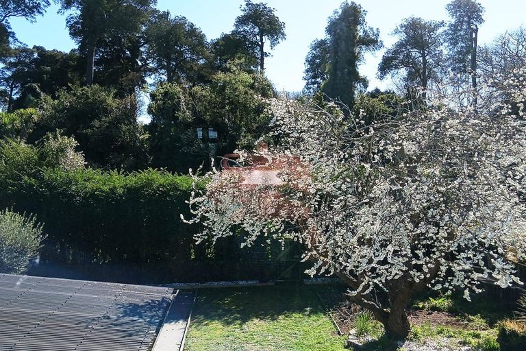 Photo of property in 42 Rata Street, Riccarton, Christchurch, 8041