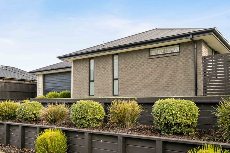 Photo of property in 273 Island Road, Kaiapoi, 7630