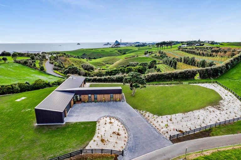 Photo of property in 29 Washer Road, Omata, New Plymouth, 4374