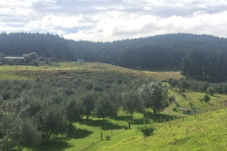 Photo of property in 4560 Pouto Road, Pouto, Te Kopuru, 0391